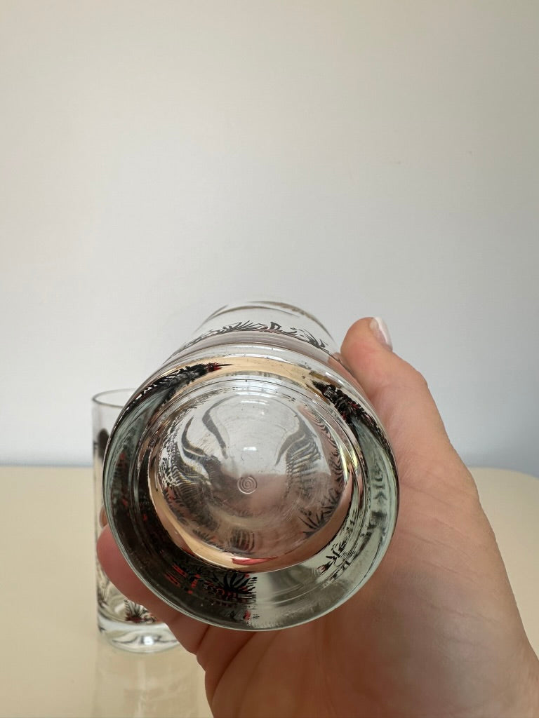 Vintge Ringneck Pheasant Tumbler Glass Set (2)