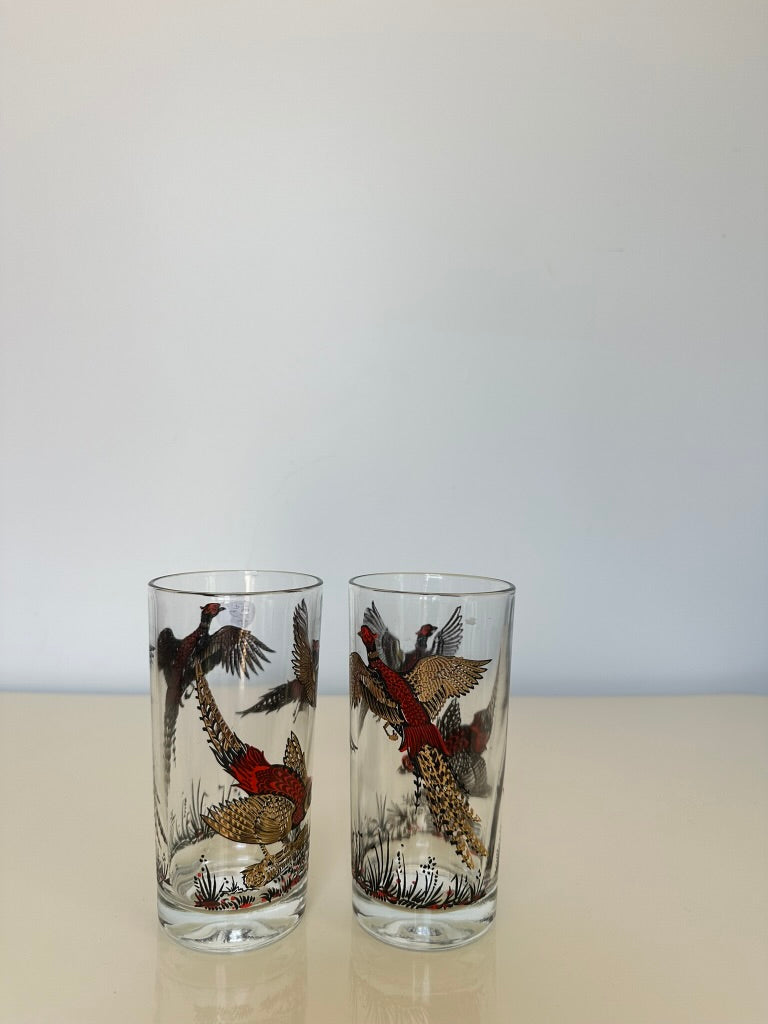 Vintge Ringneck Pheasant Tumbler Glass Set (2)