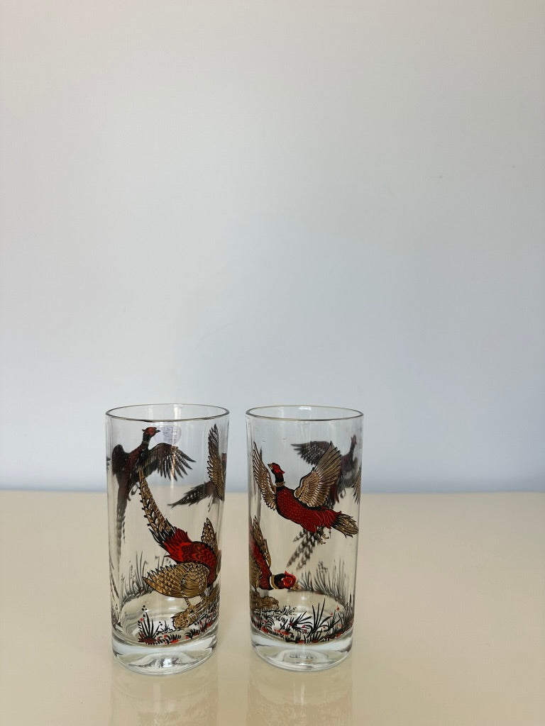 Vintge Ringneck Pheasant Tumbler Glass Set (2)