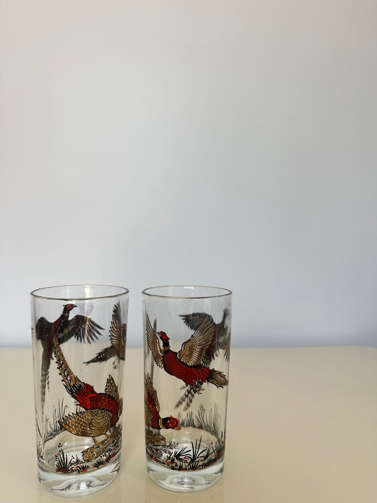 Vintge Ringneck Pheasant Tumbler Glass Set (2)