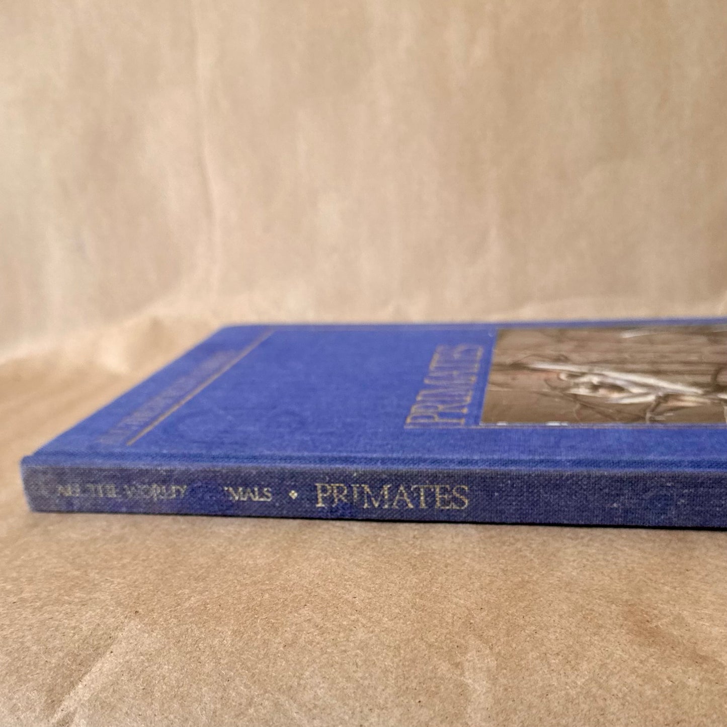 Primates, All the World's Animals — Torstar Books, 1985