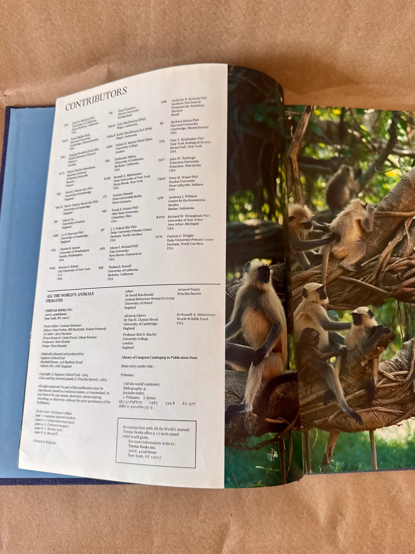 Primates, All the World's Animals — Torstar Books, 1985