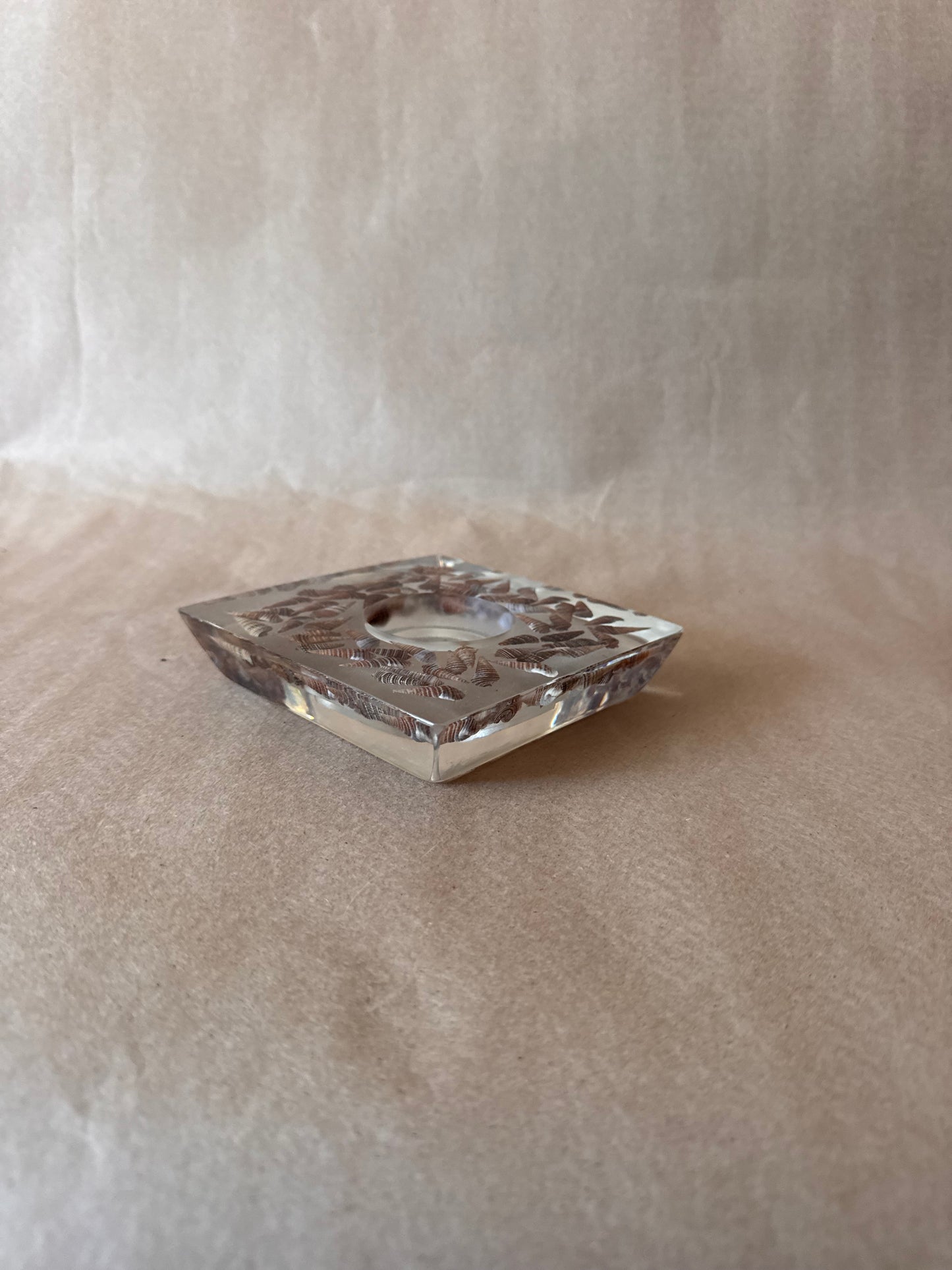 Lucite Candle Holder with Turritella Shells