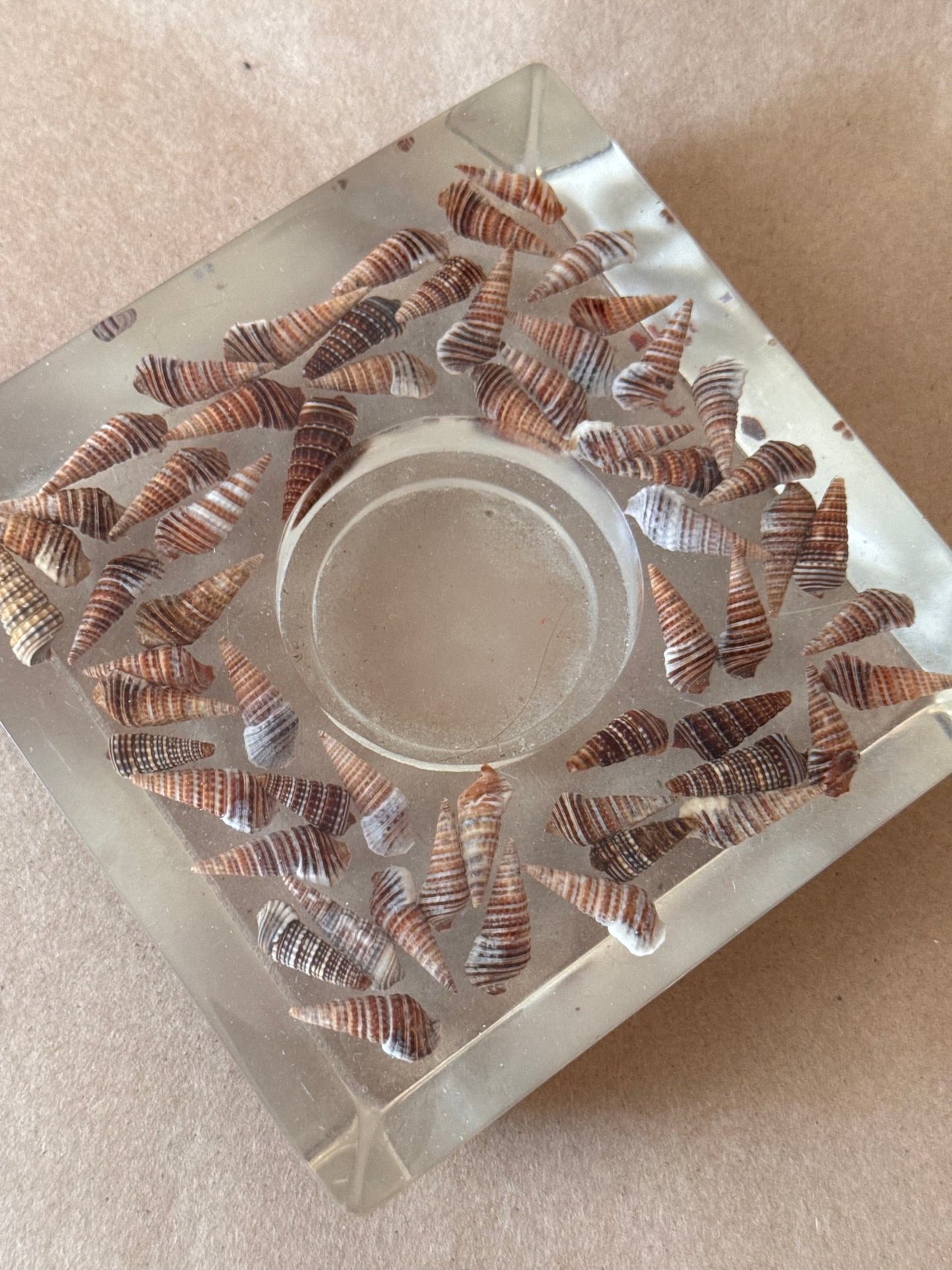 Lucite Candle Holder with Turritella Shells
