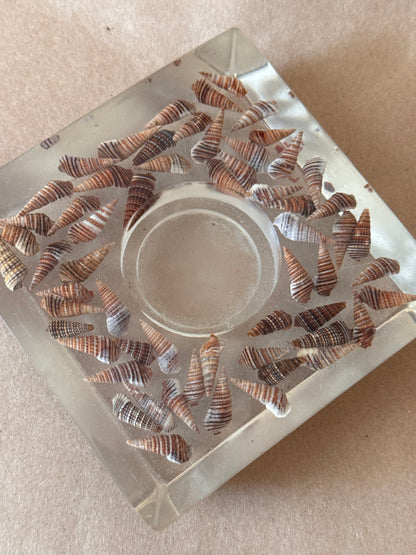 Lucite Candle Holder with Turritella Shells