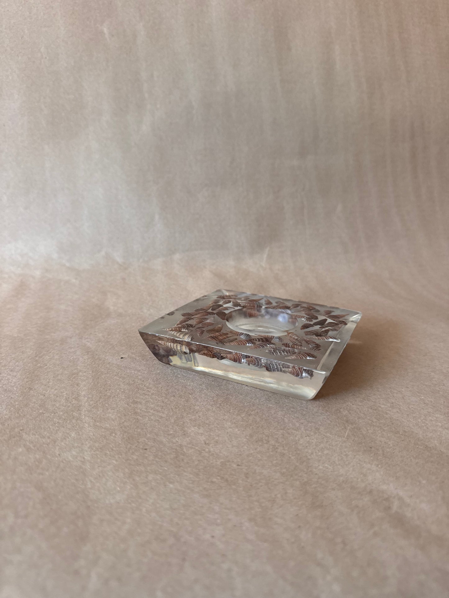 Lucite Candle Holder with Turritella Shells