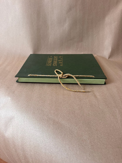 "Sunrise to Starlight" Green Portfolio Book