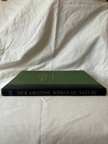 Spine with gilt lettering