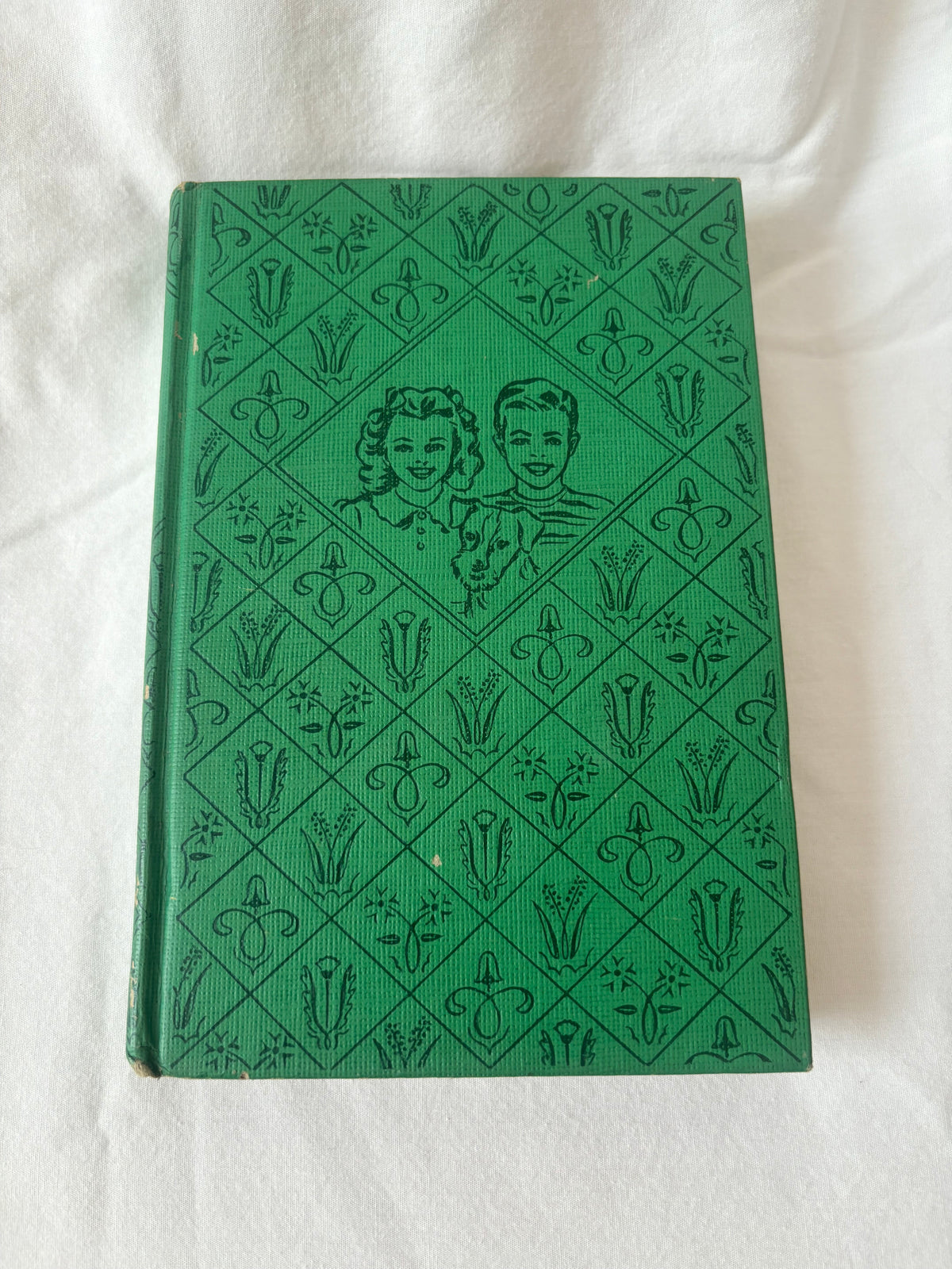 Green pictorial Bobbsey Twins front board