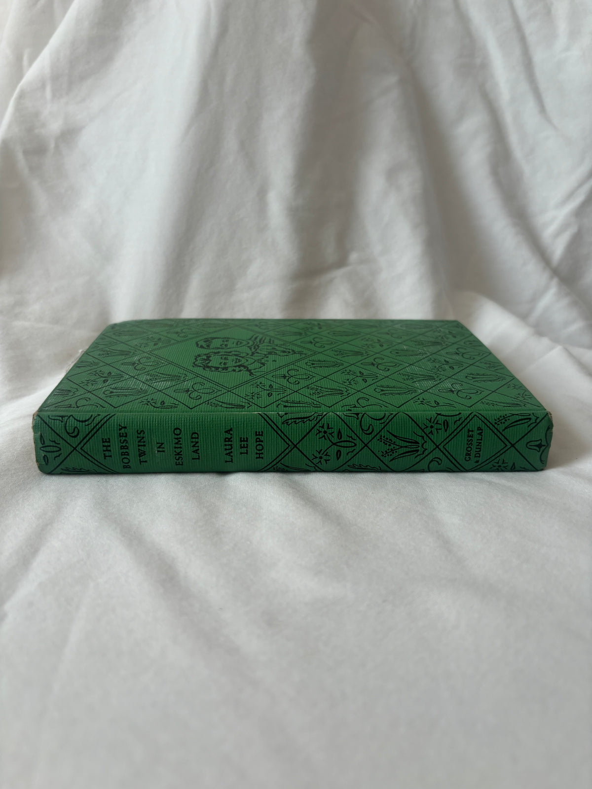 The Bobbsey Twins in Eskimo Land spine