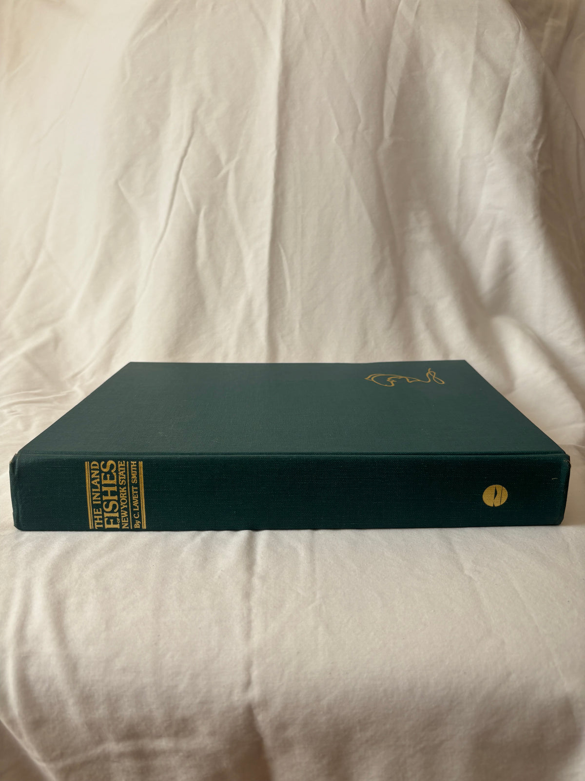 Spine with gilt title