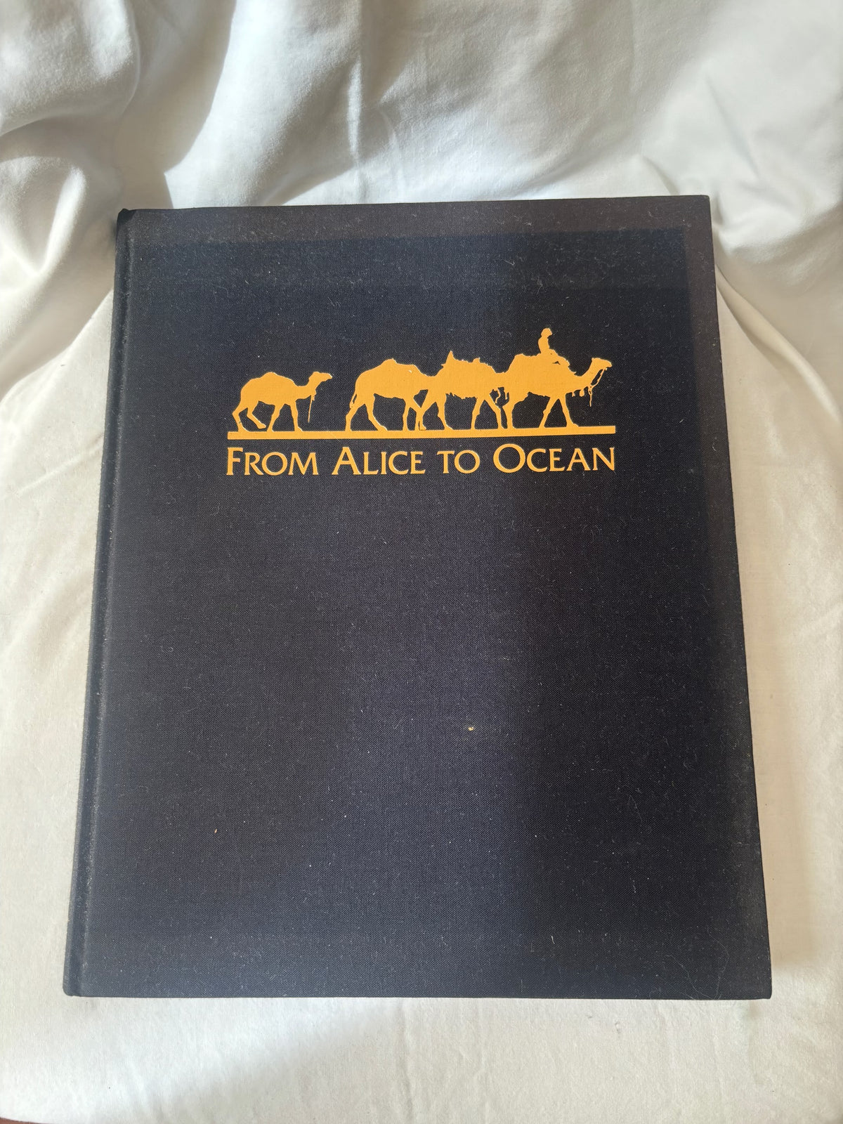 Front board, black cloth with gold camel train