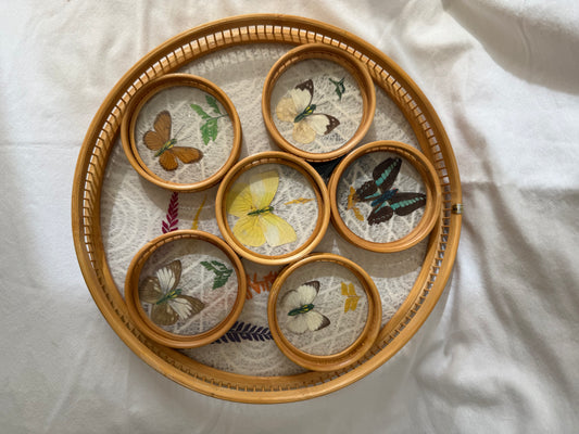 Bamboo Butterfly Coasters with Caddy (Set of 6)