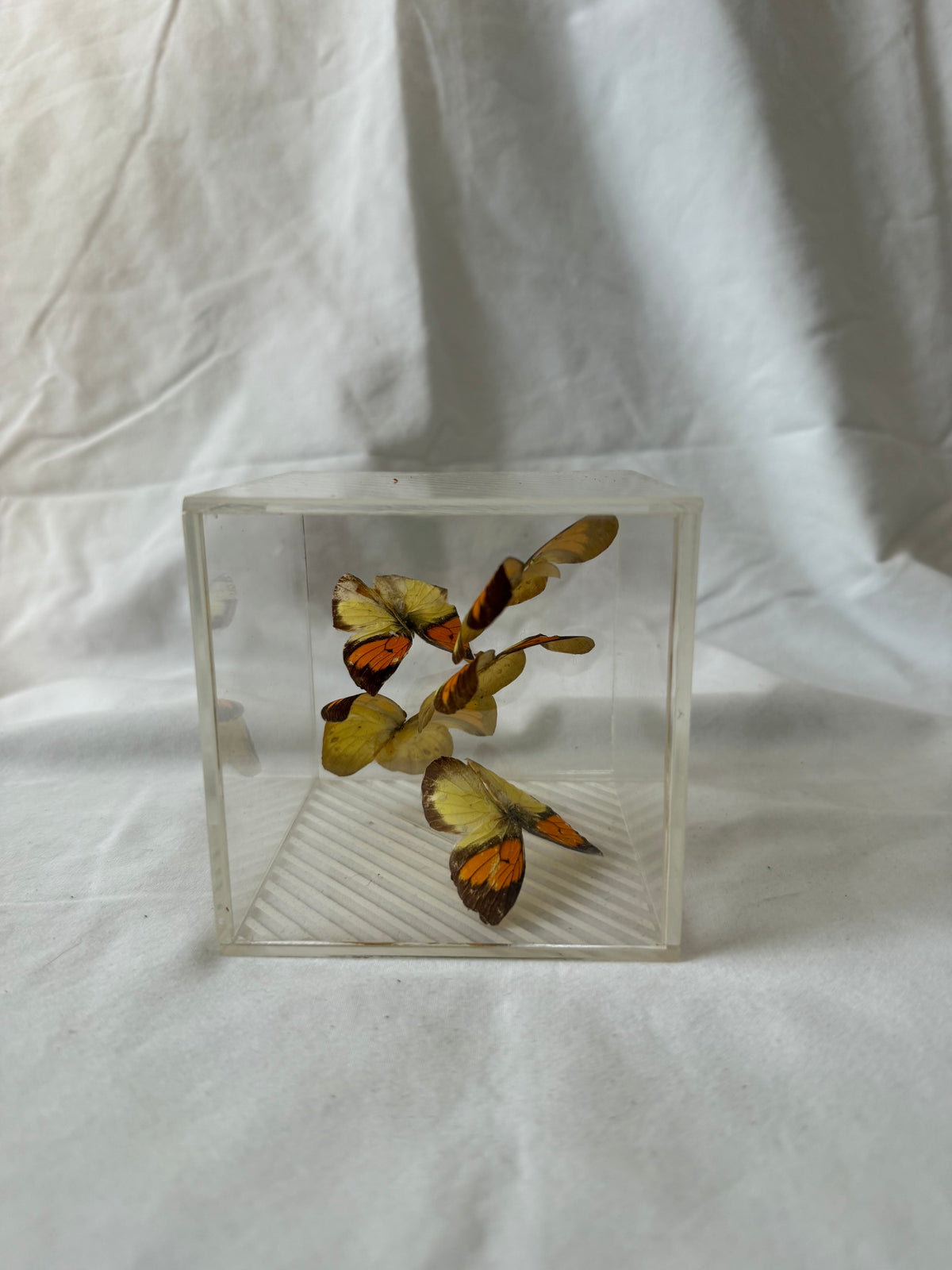 Butterfly cube, fourth angle