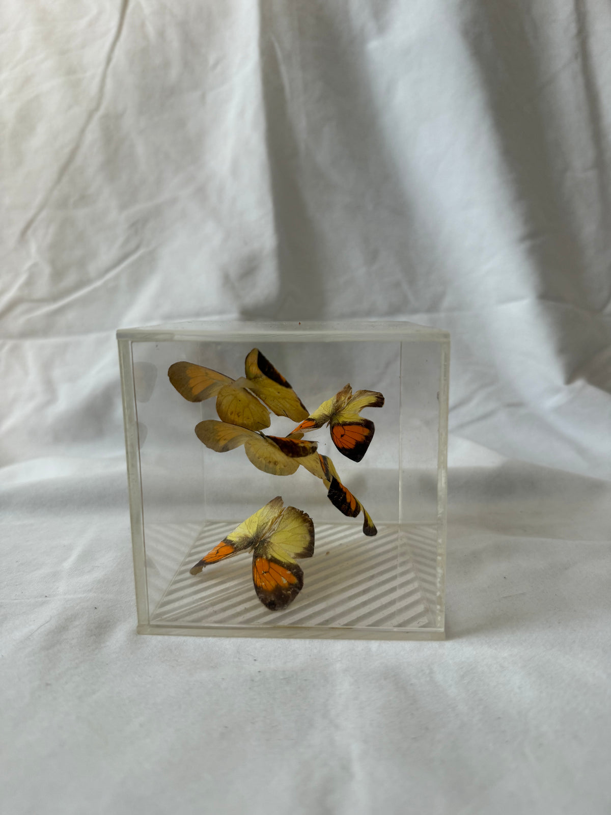 Butterfly cube, third angle