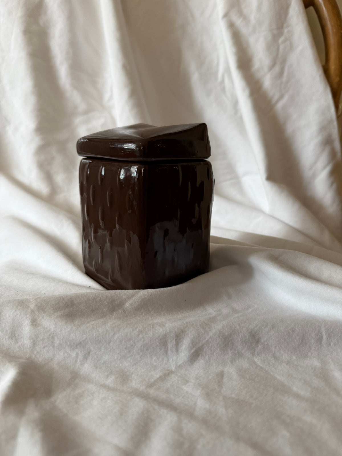 Brown Owl Container/Dispenser  with Lid