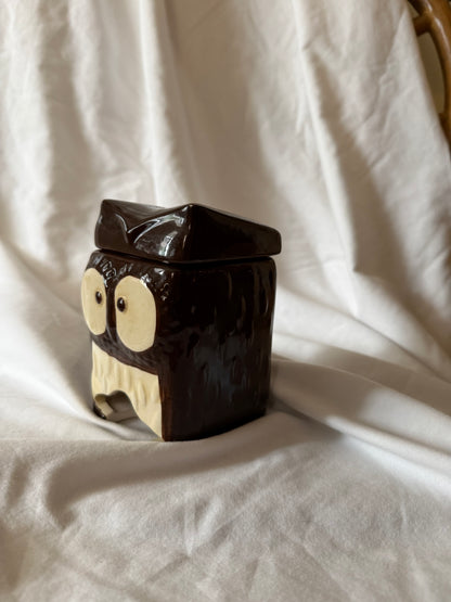 Brown Owl Container/Dispenser  with Lid