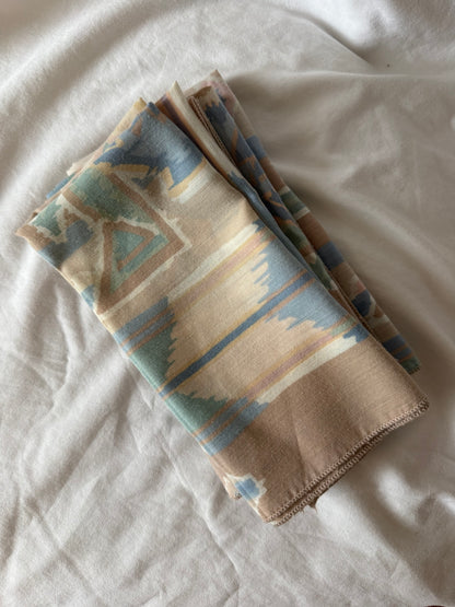 Southwestern Print Cloth Napkins, Set of 4
