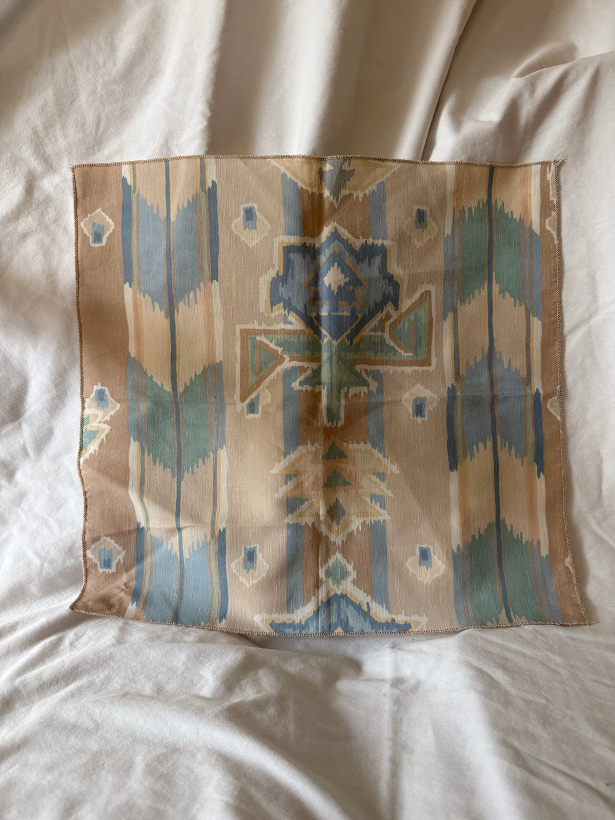 Southwestern Print Cloth Napkins, Set of 4