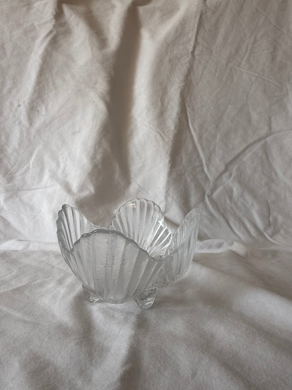 Viking glass shell bowl, side view