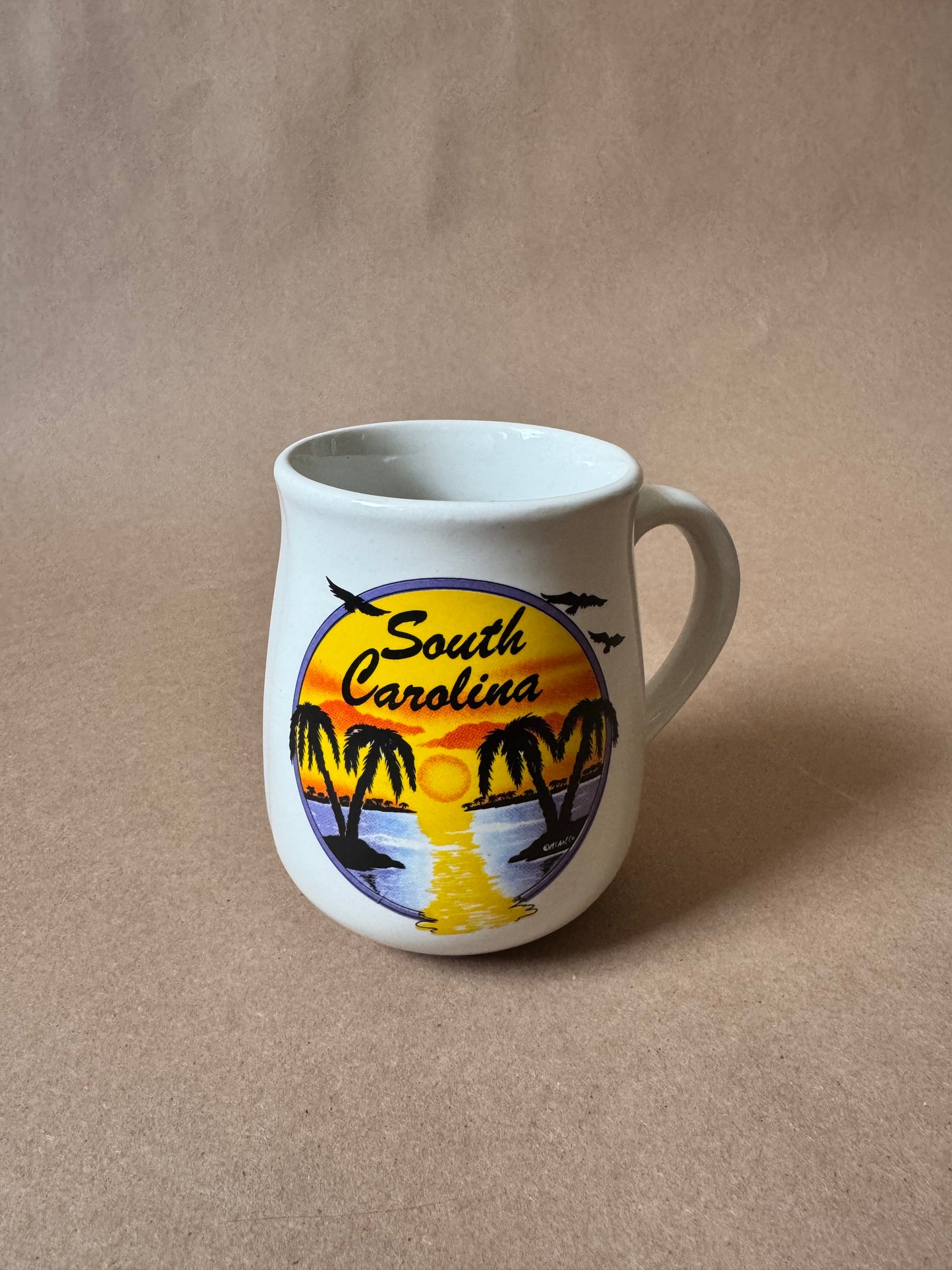 Vintage South Carolina Souvenir Sunset Mug
