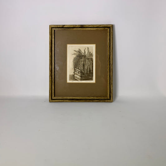Sarah Rishel Etching Print 'Boston Fern'