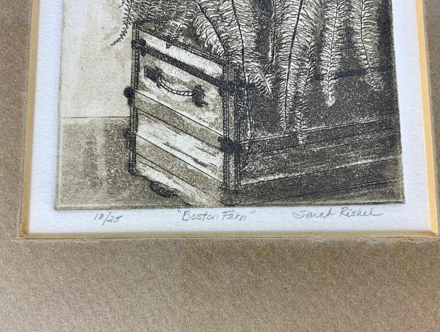 Sarah Rishel Etching Print 'Boston Fern'