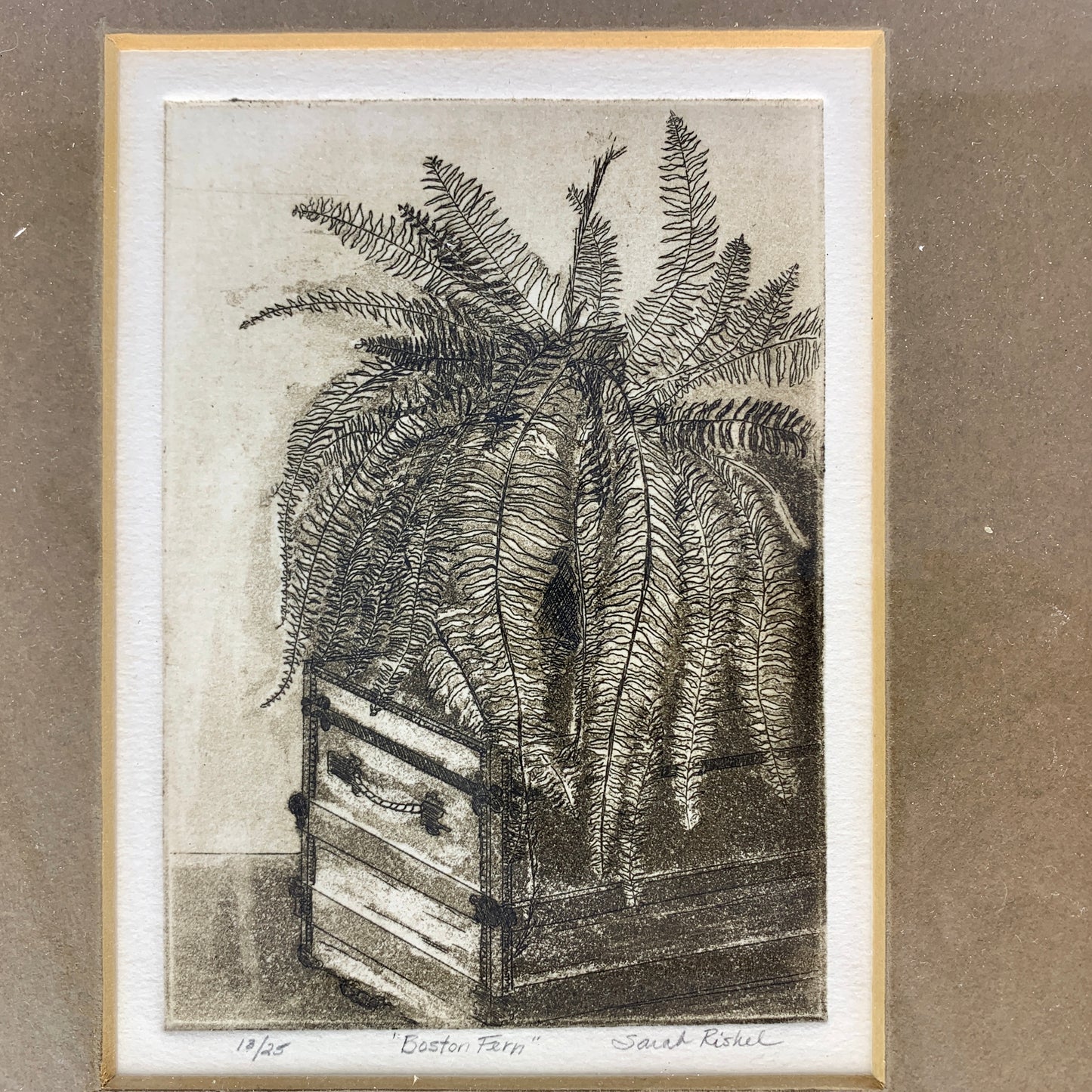 Sarah Rishel Etching Print 'Boston Fern'