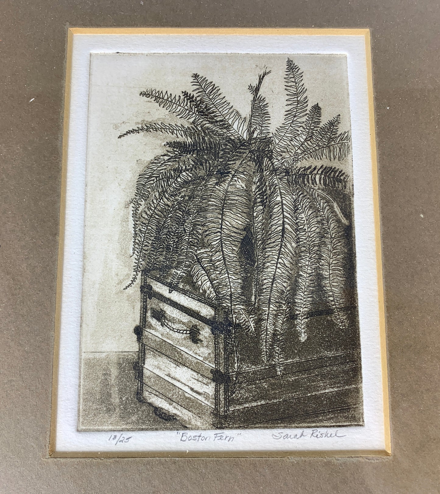 Sarah Rishel Etching Print 'Boston Fern'