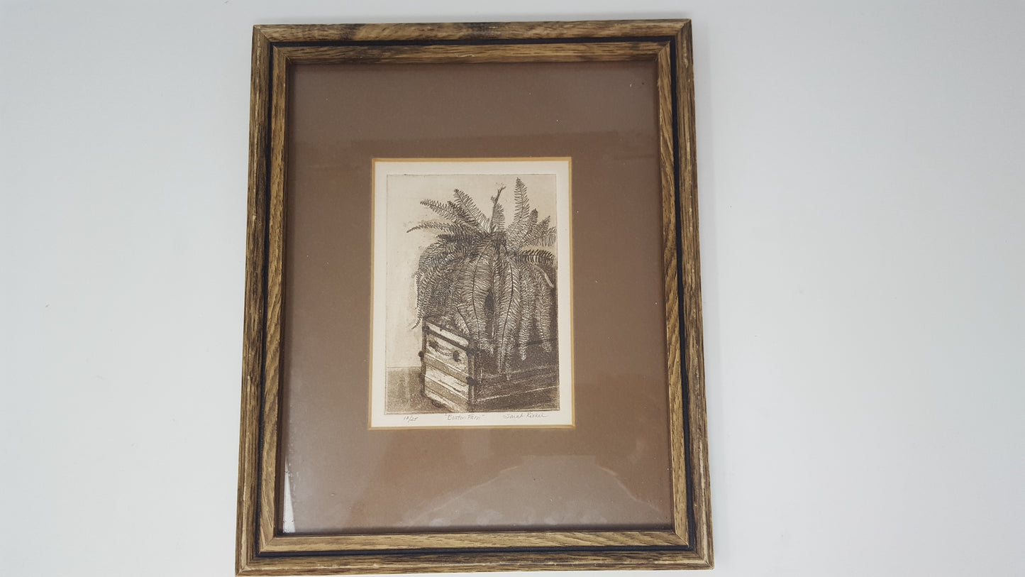 Sarah Rishel Etching Print 'Boston Fern'